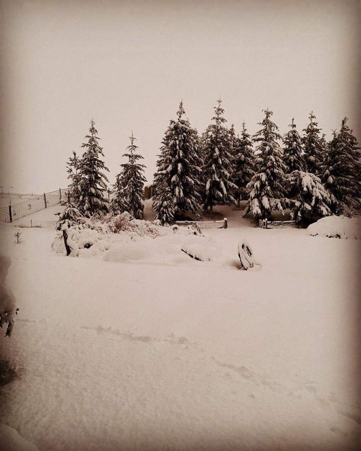 Ben Ohau Villa Twizel Exteriör bild